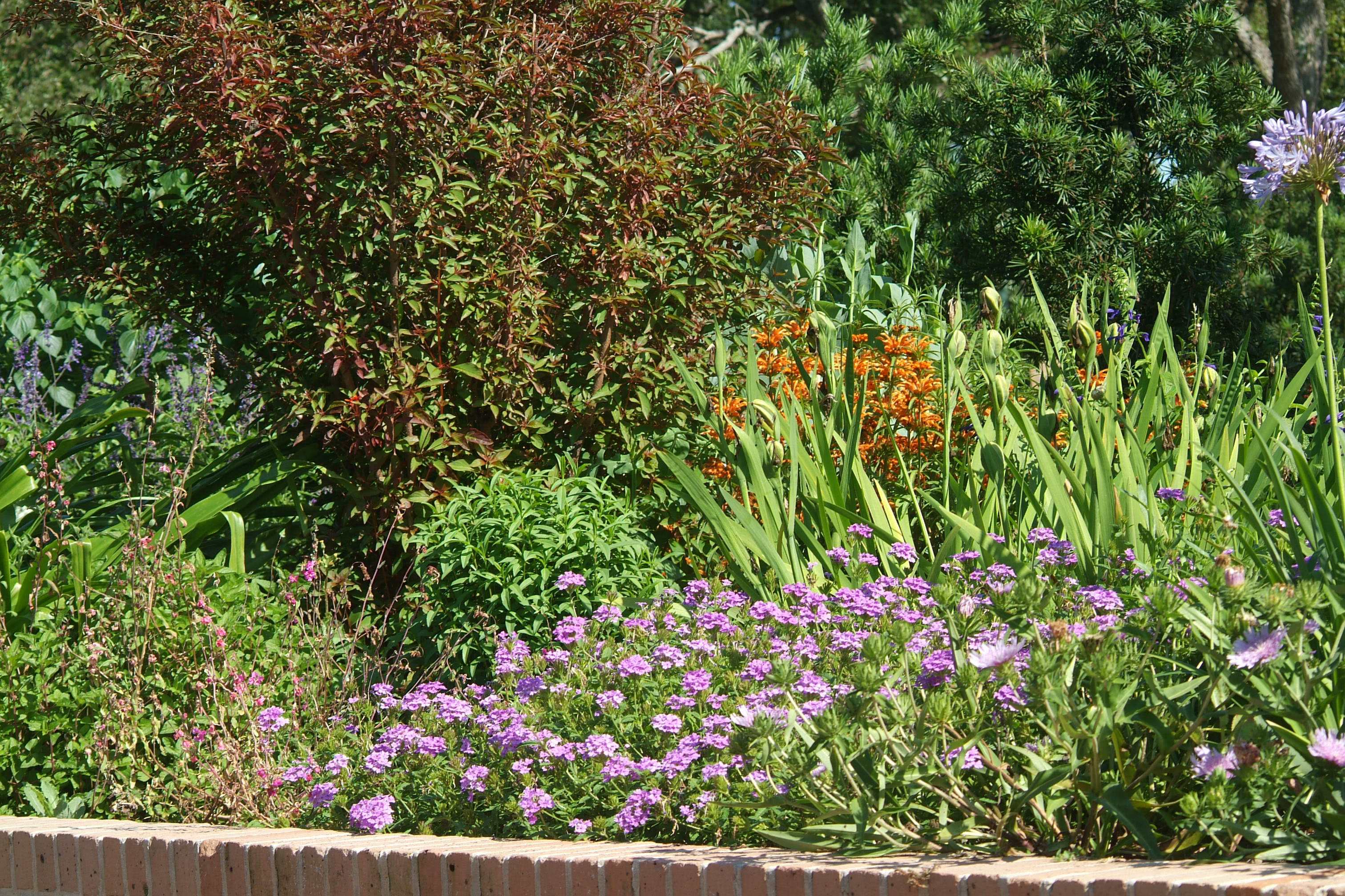 Get a handle on landscape maintenance 